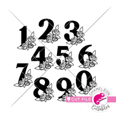 Birthday Numbers with Flowers svg png dxf eps jpeg SVG DXF PNG Cutting File