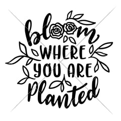 Bloom Where You Are Planted Svg Png Dxf Eps Svg Dxf Png Cutting File
