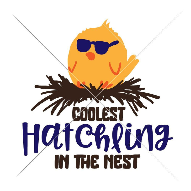 Coolest Hatchling In The Nest Svg Png Dxf Eps Svg Dxf Png Cutting File