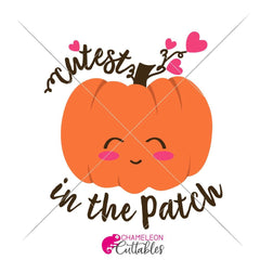 Cutest Pumpkin In The Patch Svg Png Dxf Eps Svg Dxf Png Cutting File