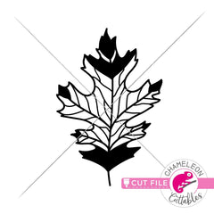 Fall Leaf svg png dxf eps jpeg SVG DXF PNG Cutting File