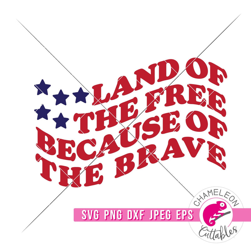 Land of the Free Flag Retro 4th of July svg png dxf eps jpeg SVG DXF PNG Cutting File