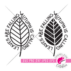 Leaves are falling Autumn is calling Fall Leaf svg png dxf eps jpeg
