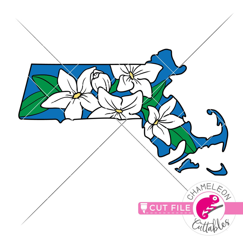 Massachusetts state flower mayflower layered svg png dxf eps jpeg SVG DXF PNG Cutting File