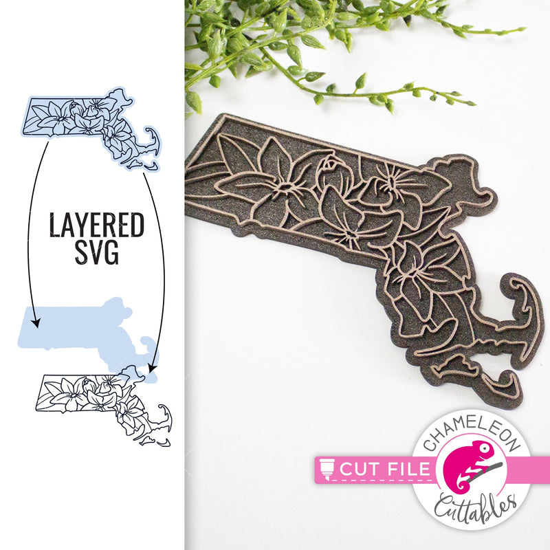 Massachusetts state flower SVG png dxf eps jpeg SVG DXF PNG Cutting File