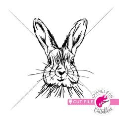 Rabbit sketch drawing Easter bunny svg png dxf eps jpeg SVG DXF PNG Cutting File